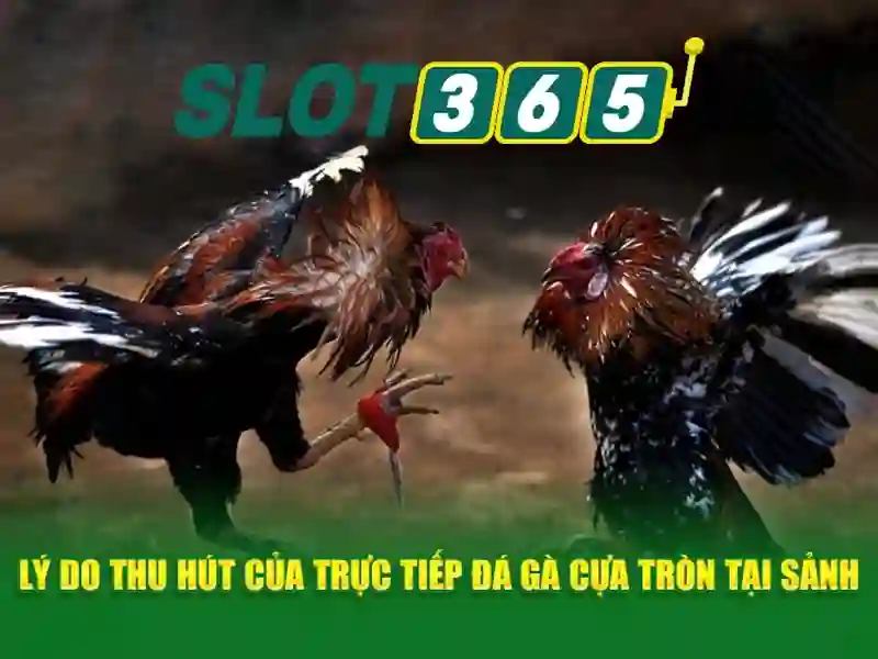 Đa dạng trò chơi và thanh toán nhanh chóng