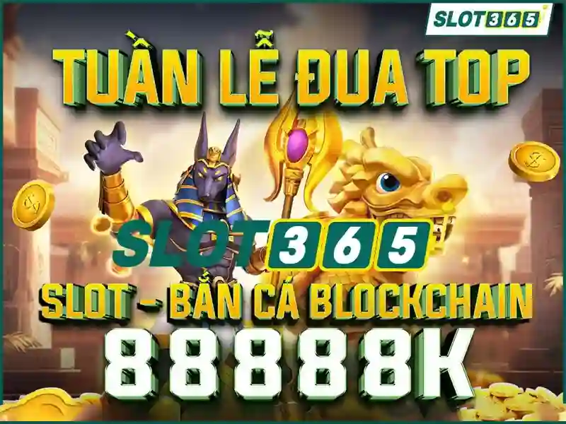 Slot365 là gì?