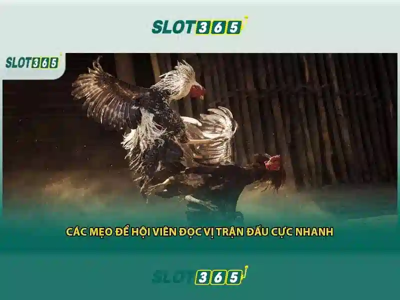 Slot365 là gì?