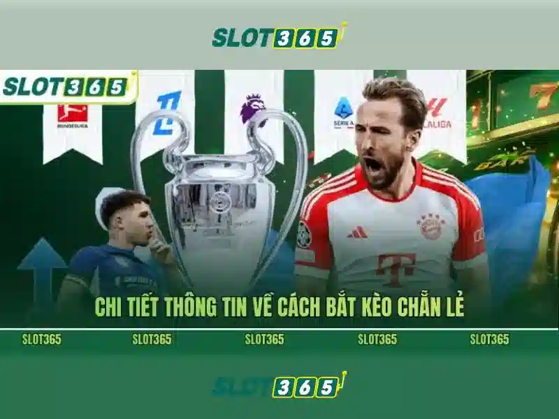 Kết luận về Slot365