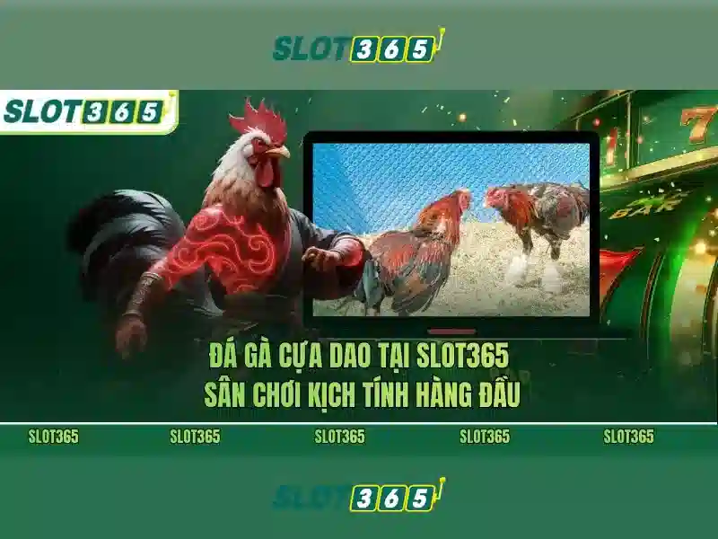 Slot365: Đánh giá và trải nghiệm cho người chơi Việt Nam
