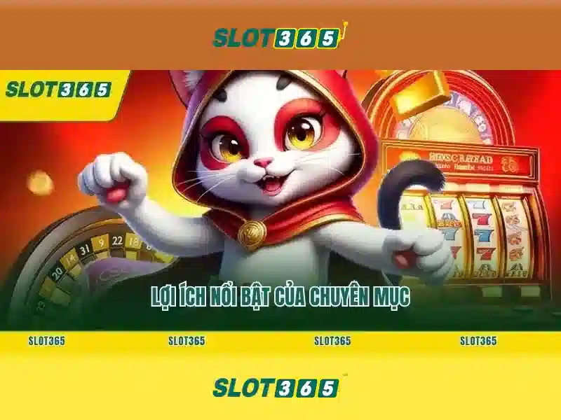 Lý do nổi bật của Slot365