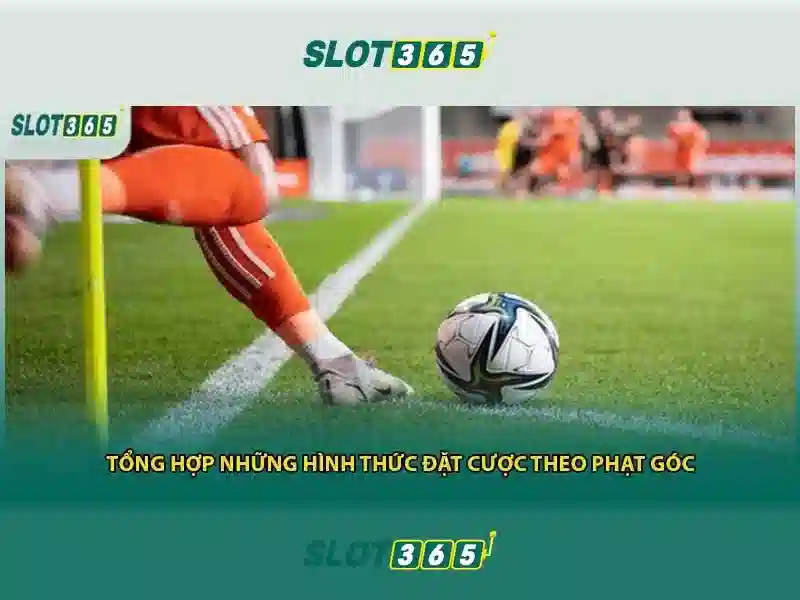 Trải nghiệm di động và hỗ trợ người dùng