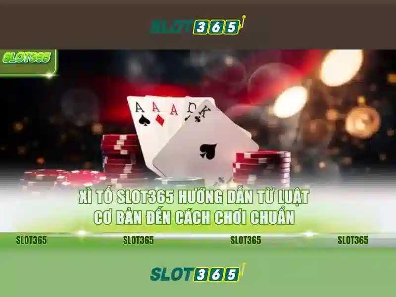 Kết luận và lời khuyên cho người mới