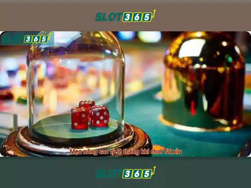 Slot365: Nền tảng cược trực tuyến hàng đầu
