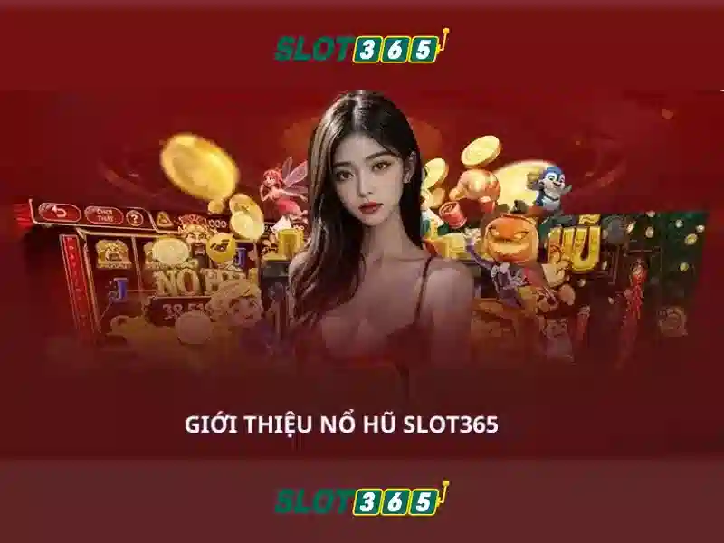 Slot365 - Trải nghiệm người chơi