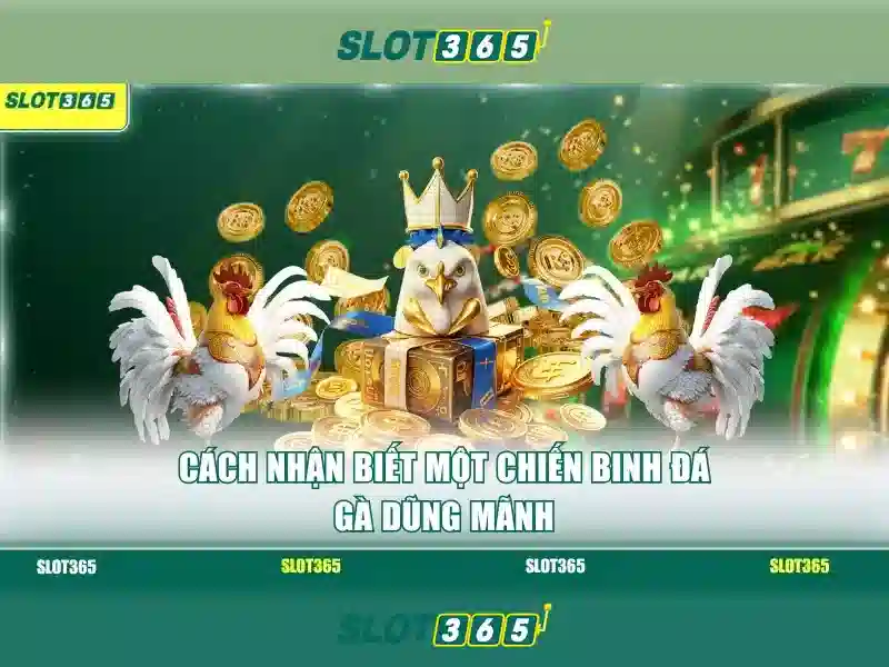 Danh mục trò chơi và khe cắm chất lượng