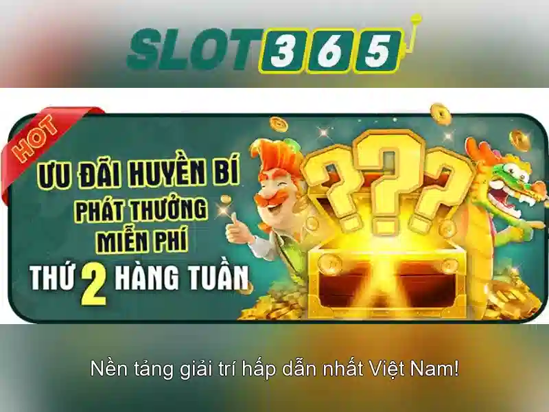 Trải nghiệm người dùng và tương lai
