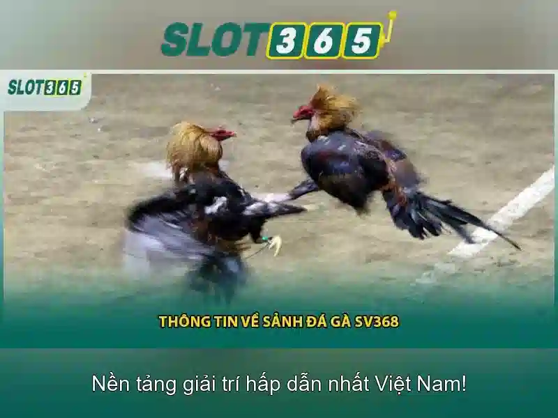 Khởi nguồn và sứ mệnh của hoki slot365