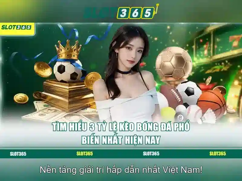 Cải tiến và trải nghiệm người dùng