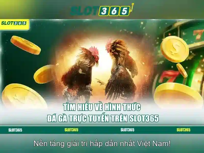 Giao diện người dùng tối ưu