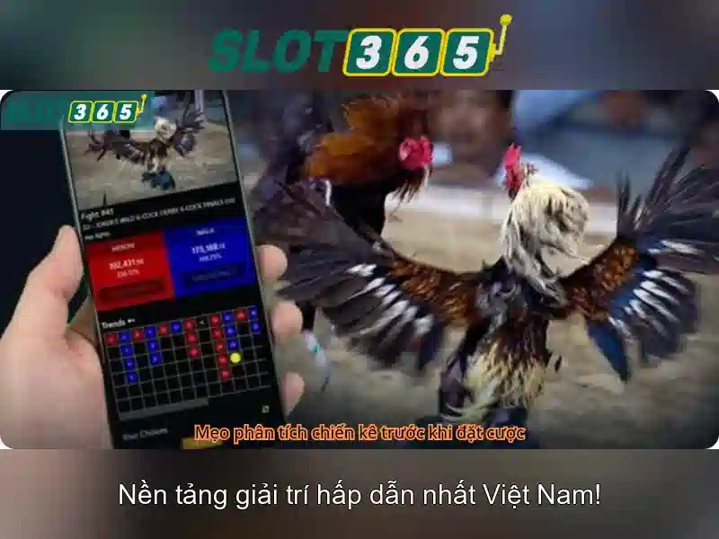 Slot365 - Nền tảng trò chơi slot trực tuyến uy tín
