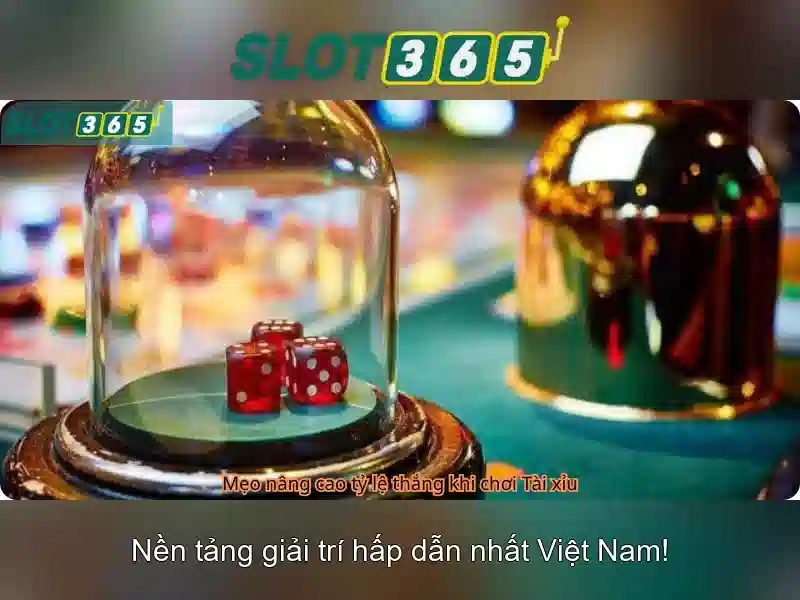 Slot365 là gì?