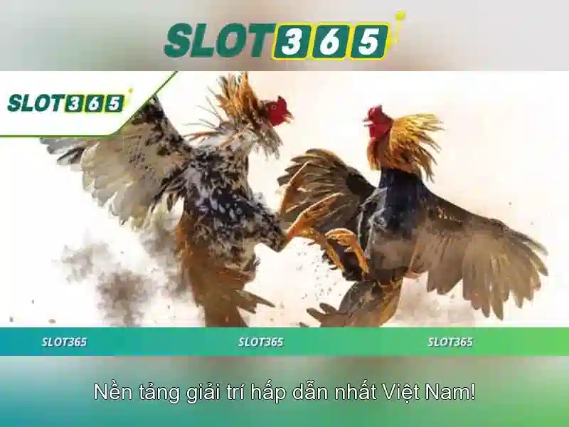 Chính sách thanh toán an toàn và bảo mật<h>Khuyến mãi, thưởng và đánh giá từ người chơi</h><p><span style=