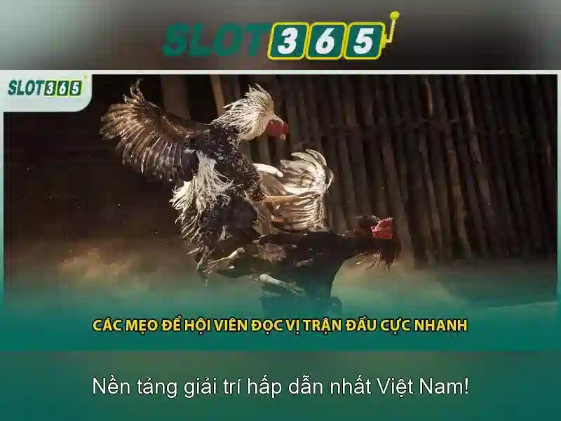 Slot365: Nền tảng giải trí casino trực tuyến an toàn