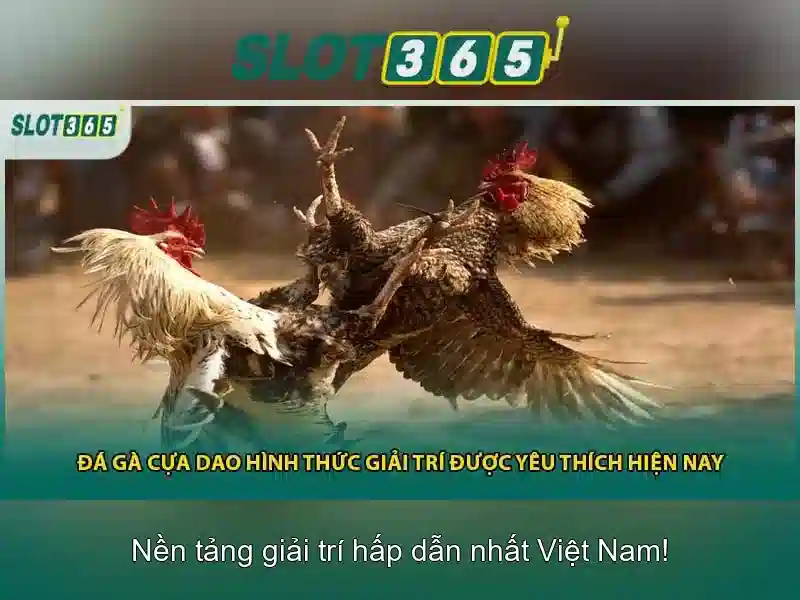 Khuyến mãi và cách tham gia