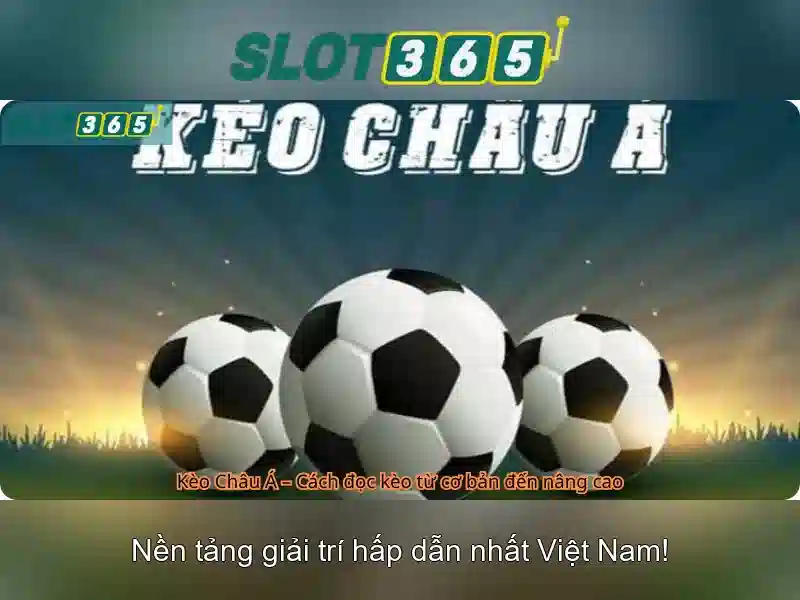 Khuyến mãi và chương trình liên kết