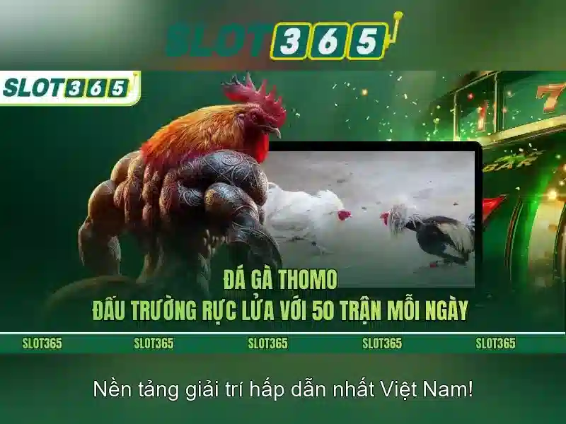 An toàn và chăm sóc khách hàng\n<h2><b>Kết luận</b></h2>\n<p><span style=