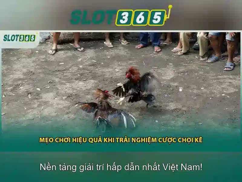 An toàn và công bằng khi chơi Slot365