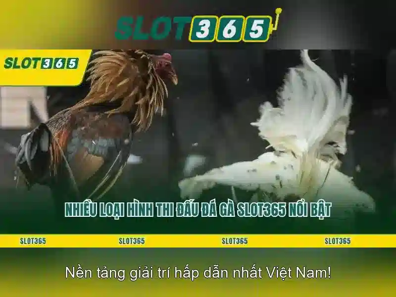 Hướng dẫn tham gia Slot365