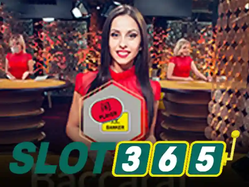 Slot365 - Nền tảng chơi đánh bạc trực tuyến hàng đầu