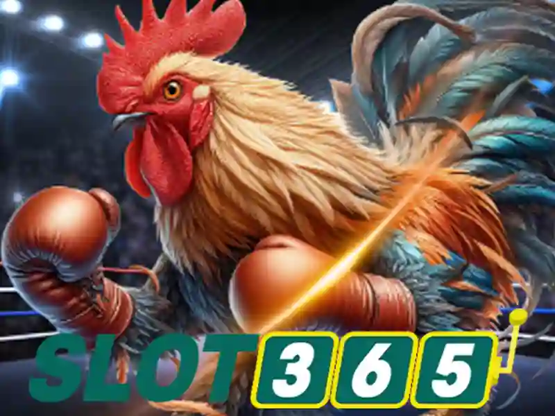Slot365: Nền tảng cược trực tuyến hàng đầu