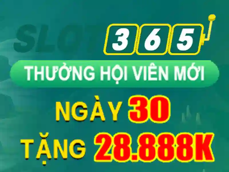 Slot365 – Tổng quan về nền tảng slot trực tuyến